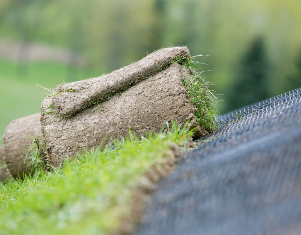 Applying rolled green grass with erosion control mesh on a slope